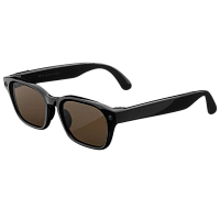 Умные очки Meta Adventurer (Classic Black/Brown Large)
