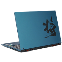 Ноутбук COLORFUL EVOL (X15 XS 22 (A10205400078) RTX 3050 16GB/512GB)